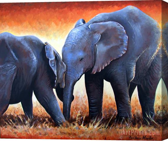 Paul Dene Marlor Two Little Elephants Stretched Canvas Painting / Canvas Art