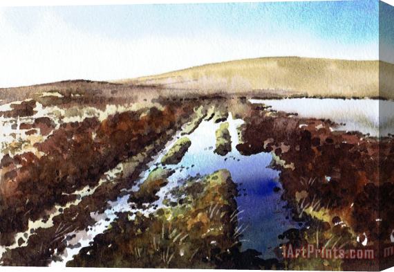 Paul Dene Marlor Wet lane Cupwith Reservoir Stretched Canvas Print / Canvas Art