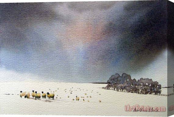 Paul Dene Marlor Winter Snow Swaledale Stretched Canvas Print / Canvas Art