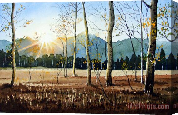 Paul Dene Marlor Woodland Sunset Stretched Canvas Painting / Canvas Art