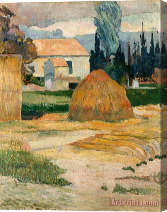Paul Gauguin Landscape Near Arles Stretched Canvas Painting / Canvas Art