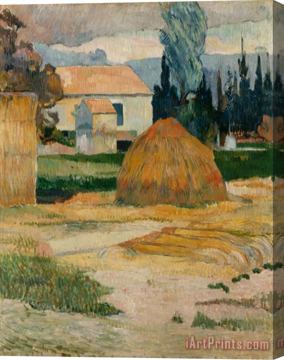 Paul Gauguin Landscape Near Arles Stretched Canvas Painting / Canvas Art