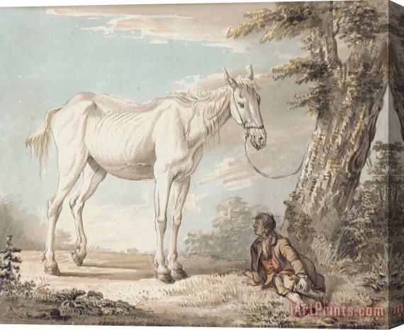 Paul Sandby An Old Grey Horse Tethered To A Tree A Boy Resting Nearby Stretched Canvas Painting / Canvas Art