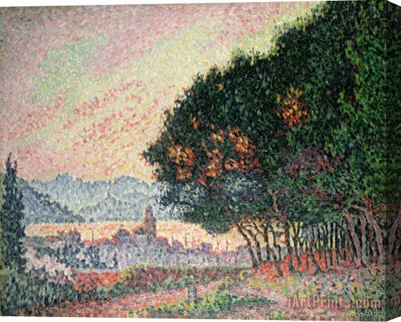 Paul Signac Forest near St Tropez Stretched Canvas Print / Canvas Art