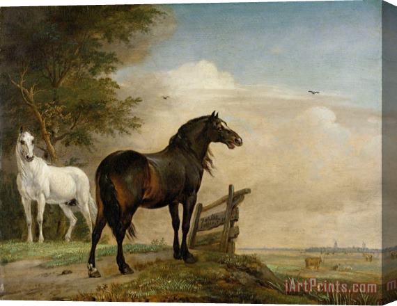 Paulus Potter Two Horses in a Meadow Near a Gate Stretched Canvas Painting / Canvas Art