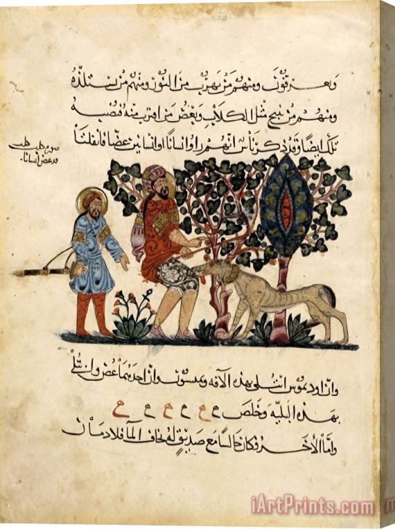 Pedanius Dioscorides Folio From an Arabic Translation of The Materia Medica by Dioscorides Stretched Canvas Painting / Canvas Art