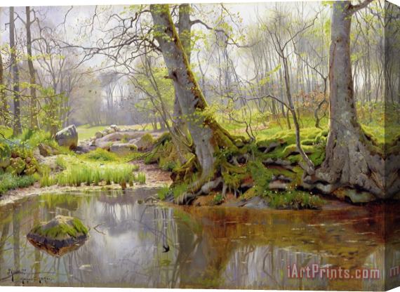 Peder Monsted Woodland Pond Stretched Canvas Painting / Canvas Art