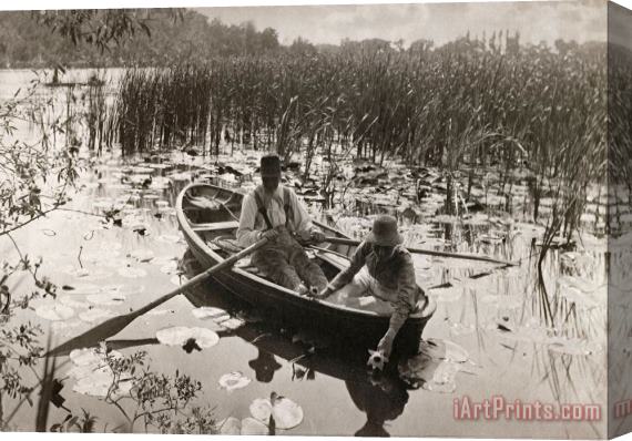 Peter Henry Emerson Gathering Waterlilies Stretched Canvas Print / Canvas Art