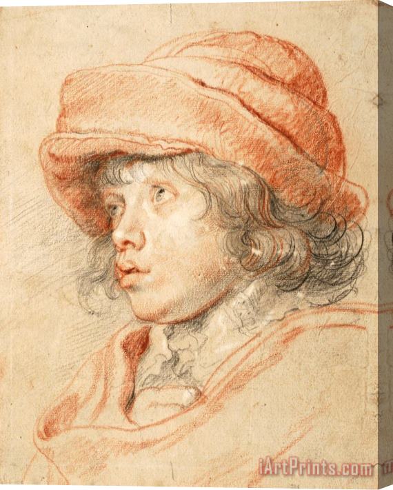 Peter Paul Rubens Rubens's Son Nicolaas Wearing a Red Felt Cap, 1625 1627 Stretched Canvas Print / Canvas Art