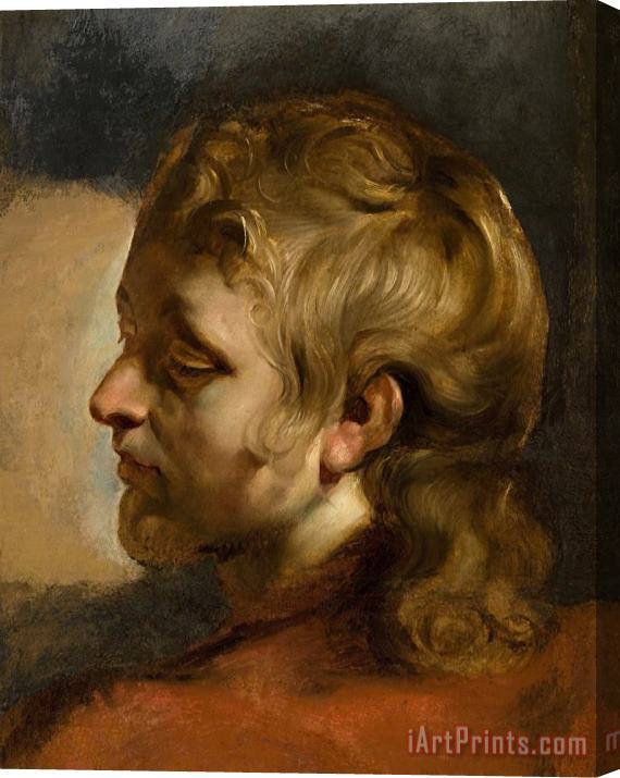 Peter Paul Rubens Study for Head of Saint John The Evangelist Stretched Canvas Print / Canvas Art