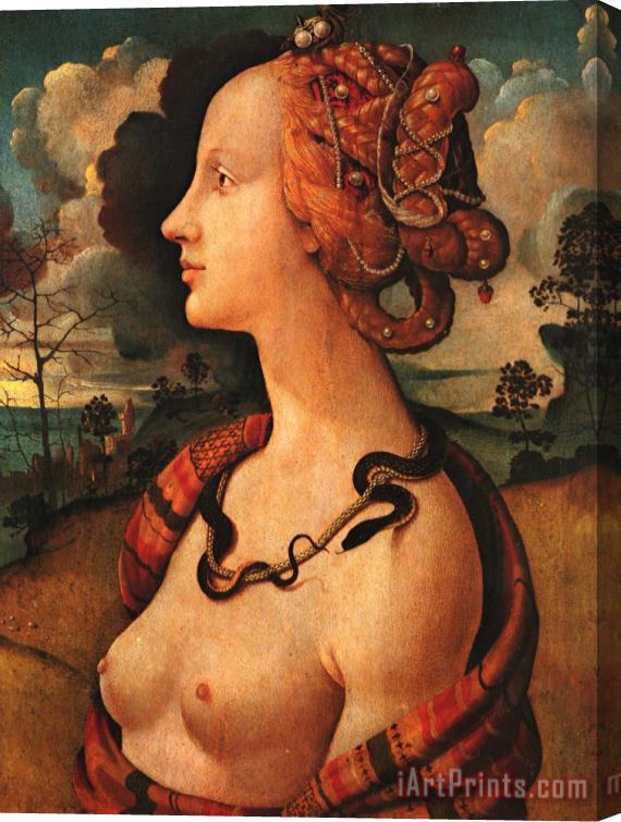 Piero di Cosimo Portrait of Simonetta Vespucci Stretched Canvas Print / Canvas Art