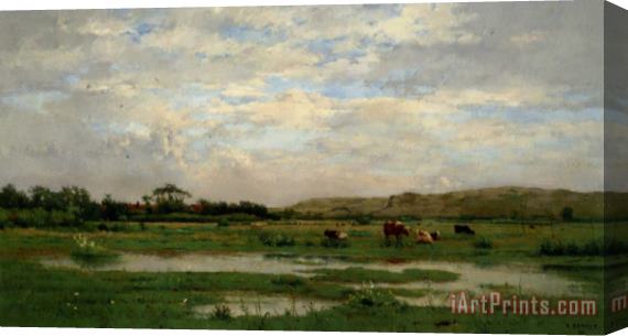 Pierre-emmanuel Damoye Prairies Inondees Pas De Calais Stretched Canvas Print / Canvas Art