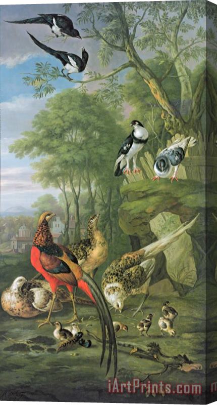 Pieter Casteels Cock Pheasant Hen Pheasant And Chicks And Other Birds In A Classical Landscape Stretched Canvas Painting / Canvas Art