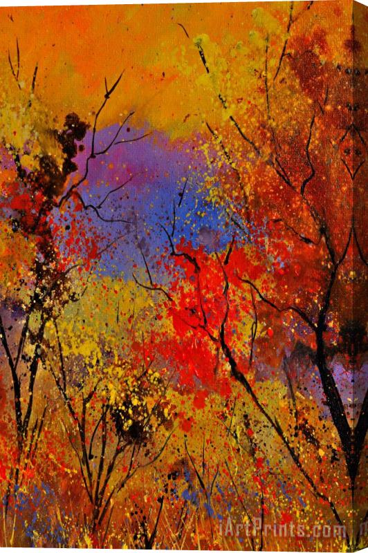 Pol Ledent Autumn Colors Stretched Canvas Print / Canvas Art