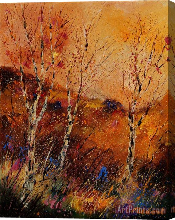 Pol Ledent Autumn landscape 45 Stretched Canvas Painting / Canvas Art