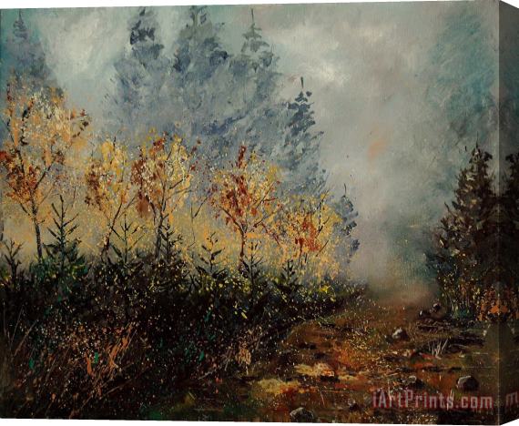 Pol Ledent Autumn landscape Stretched Canvas Print / Canvas Art