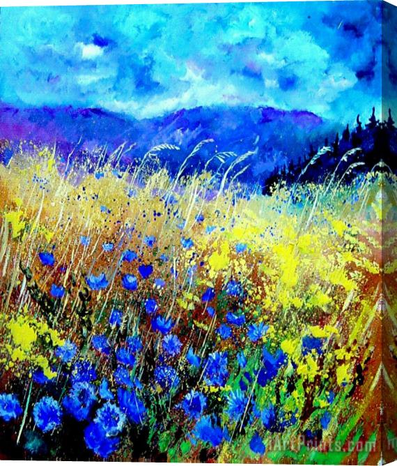 Pol Ledent Blue cornflowers 67 Stretched Canvas Print / Canvas Art