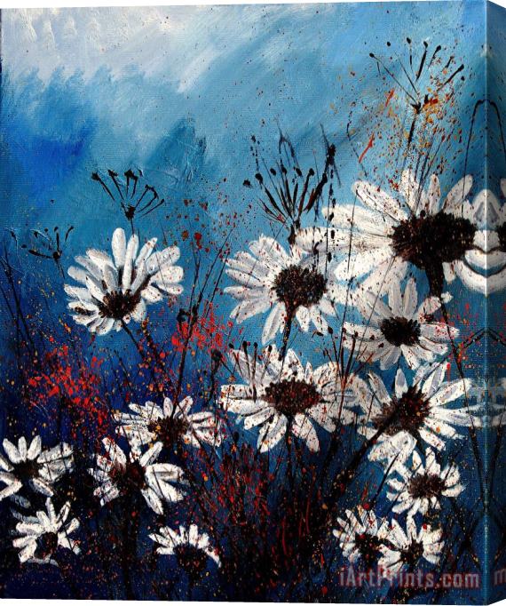 Pol Ledent Daisies 59060 Stretched Canvas Painting / Canvas Art