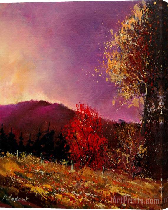 Pol Ledent Fall Colors Stretched Canvas Painting / Canvas Art