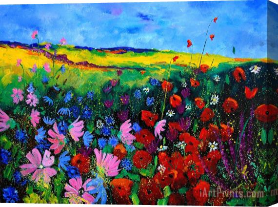 Pol Ledent Field flowers Stretched Canvas Print / Canvas Art