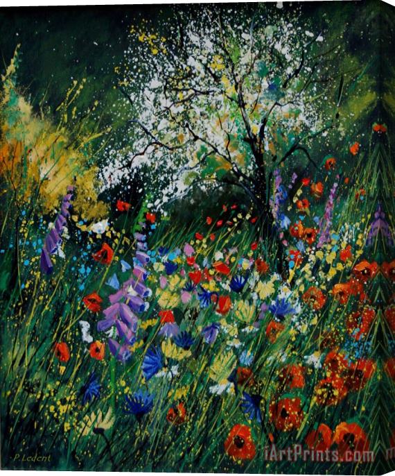 Pol Ledent Garden Flowers Stretched Canvas Painting / Canvas Art