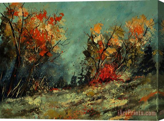 Pol Ledent In The Wood 452101 Stretched Canvas Print / Canvas Art
