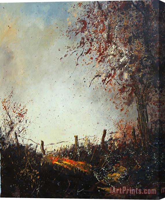 Pol Ledent Light in Autumn Stretched Canvas Print / Canvas Art