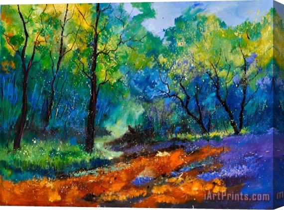 Pol Ledent Magic forest 79 Stretched Canvas Painting / Canvas Art