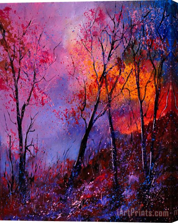 Pol Ledent Magic trees Stretched Canvas Painting / Canvas Art