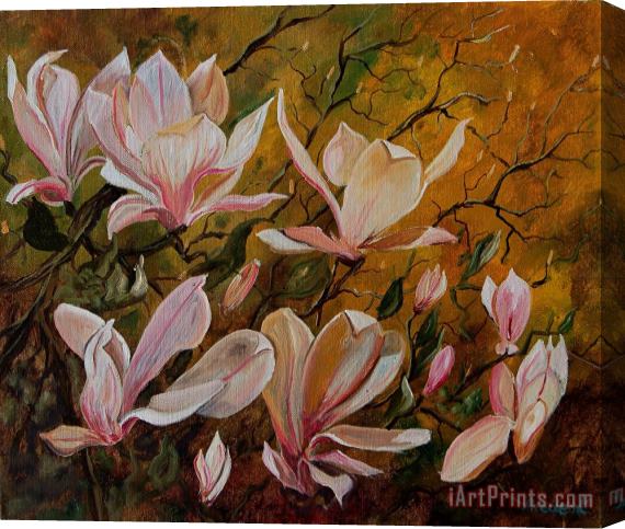 Pol Ledent Magnolias Stretched Canvas Print / Canvas Art
