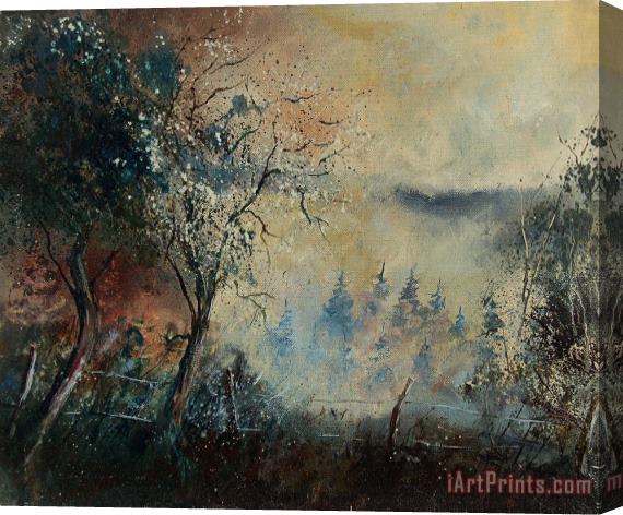 Pol Ledent Misty Morning Stretched Canvas Print / Canvas Art