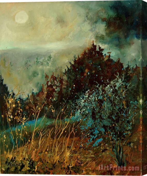 Pol Ledent Moonshine 5642 Stretched Canvas Print / Canvas Art