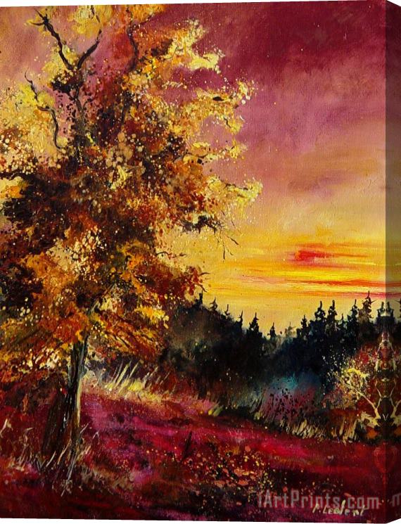 Pol Ledent Old oak at sunset Stretched Canvas Print / Canvas Art