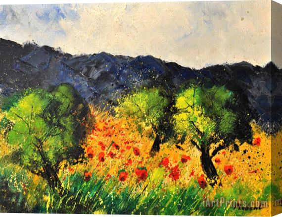 Pol Ledent Olive trees and poppies Stretched Canvas Painting / Canvas Art