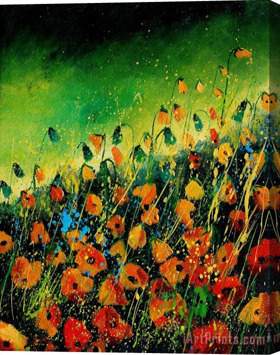 Pol Ledent Orange poppies 459080 Stretched Canvas Print / Canvas Art