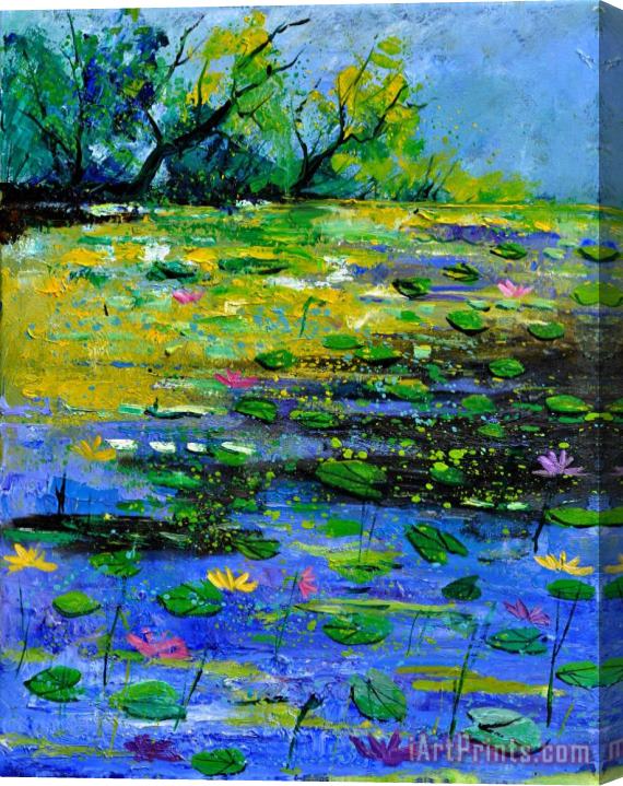 Pol Ledent Pond 452150 Stretched Canvas Print / Canvas Art