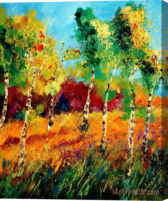 Pol Ledent Poplars '459070 Stretched Canvas Print / Canvas Art