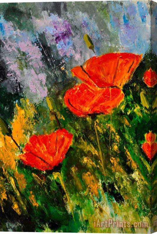 Pol Ledent Poppies 107 Stretched Canvas Print / Canvas Art
