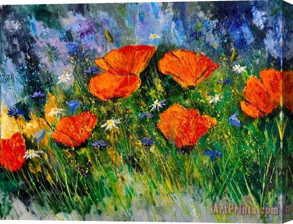 Pol Ledent Poppies 79 Stretched Canvas Print / Canvas Art