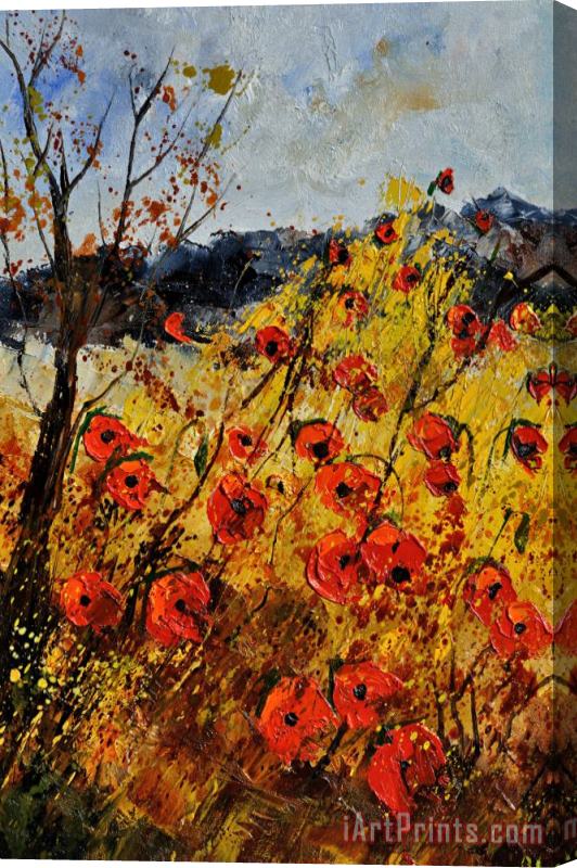 Pol Ledent Poppies in provence 456321 Stretched Canvas Painting / Canvas Art
