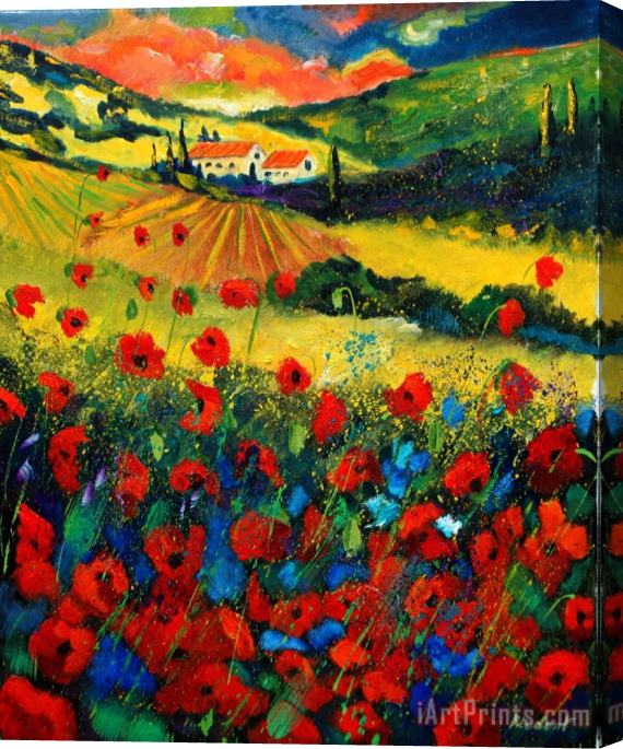 Pol Ledent Poppies In Tuscany Stretched Canvas Print / Canvas Art