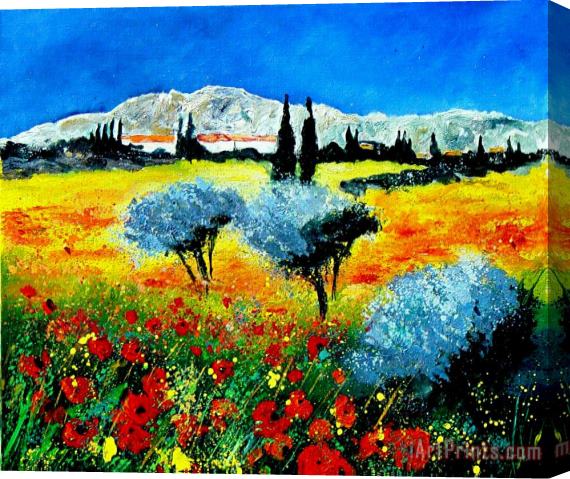 Pol Ledent Provence Stretched Canvas Painting / Canvas Art