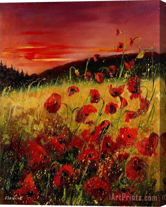 Pol Ledent Red poppies and sunset Stretched Canvas Print / Canvas Art