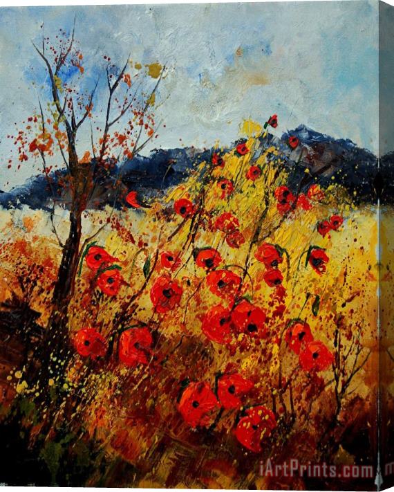 Pol Ledent Red Poppies In Provence Stretched Canvas Print / Canvas Art