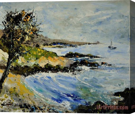 Pol Ledent Seascape Stretched Canvas Print / Canvas Art