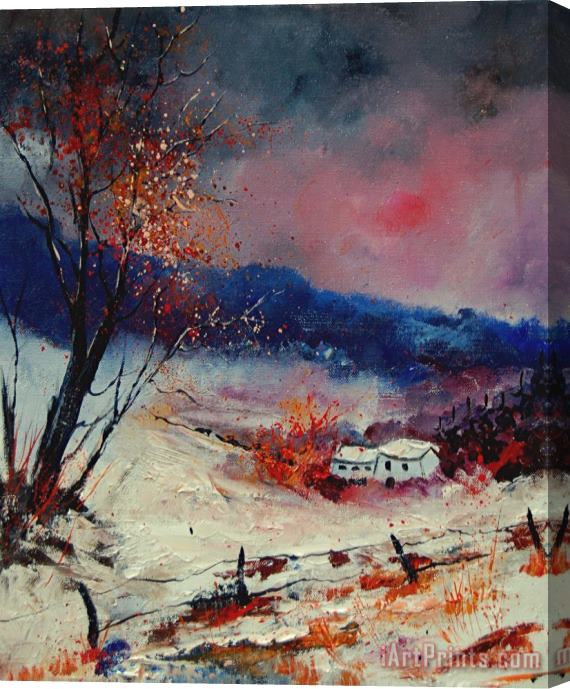 Pol Ledent Snow 569020 Stretched Canvas Print / Canvas Art