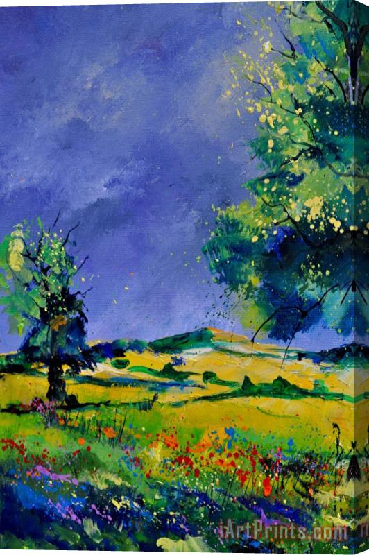 Pol Ledent Summer Oaks Stretched Canvas Print / Canvas Art