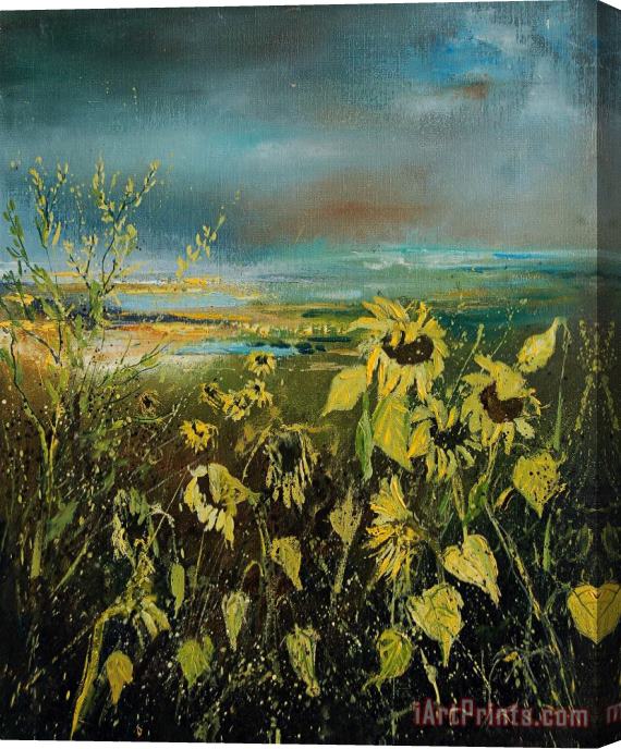Pol Ledent Sunflowers 562315 Stretched Canvas Painting / Canvas Art