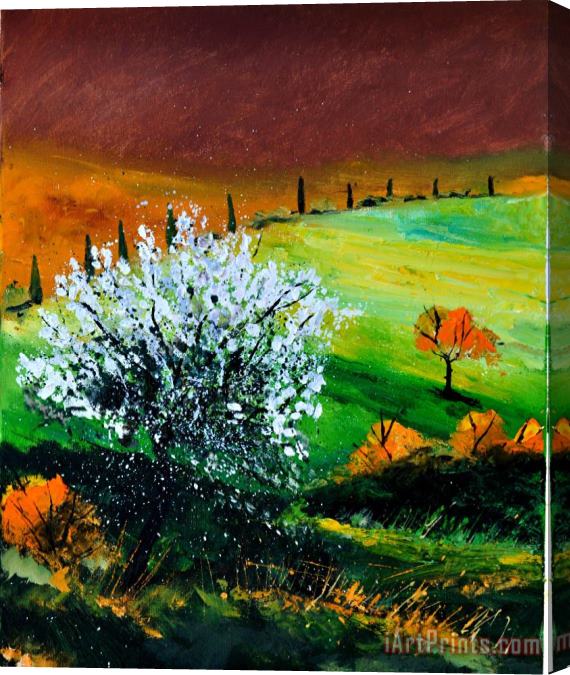 Pol Ledent Tuscany 561170 Stretched Canvas Print / Canvas Art