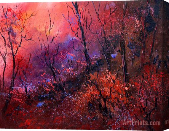 Pol Ledent Unset In The Wood Stretched Canvas Print / Canvas Art